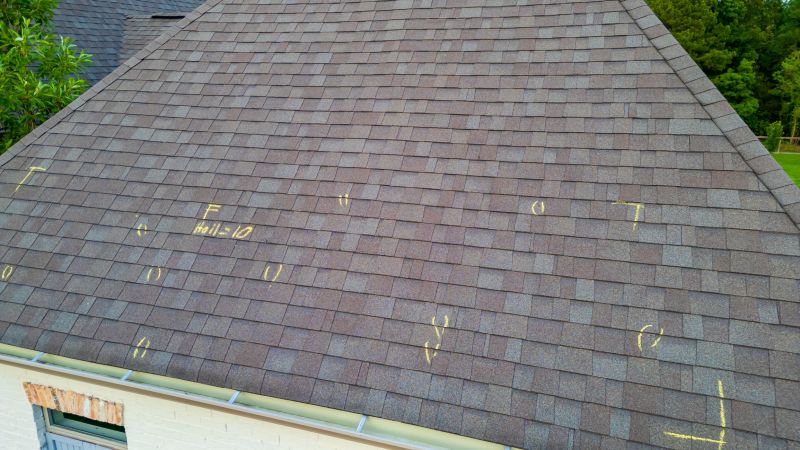 Asphalt Roof Inspection in Catawissa, PA
