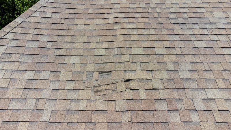 Asphalt Roof Inspection in Hazleton, PA