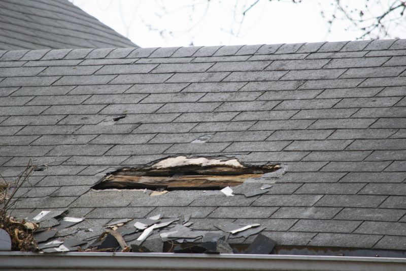 Asphalt Roof Leak Repair in Hamburg, PA
