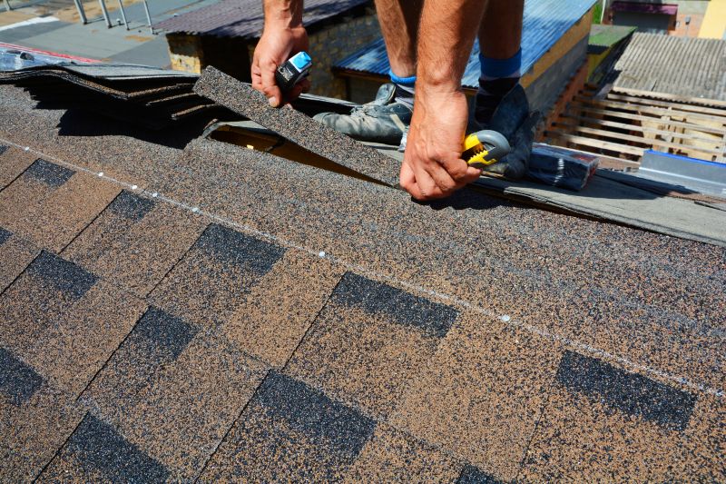 Asphalt Roof Repair in Schuylkill Haven, PA