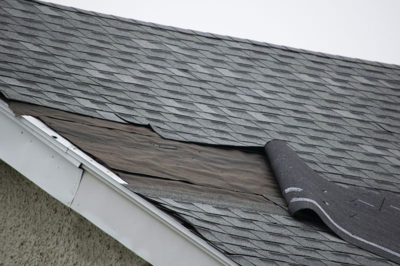 Asphalt Shingles Repair in Schuylkill County, PA