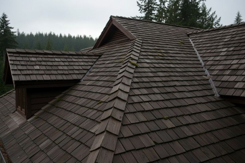 Cedar Shingles Replacement in Blandon, PA