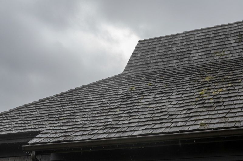 Cedar Shingles Replacement in Mifflinville, PA