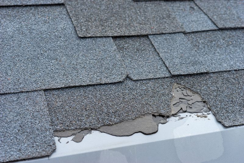 Damaged Roof Repair in Shamokin, PA