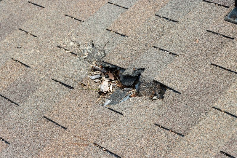 Damaged Roof Replacement in Myerstown, PA