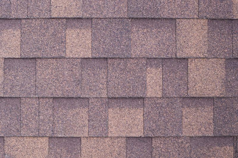 Fiberglass Shingles Repair in Schuylkill County, PA