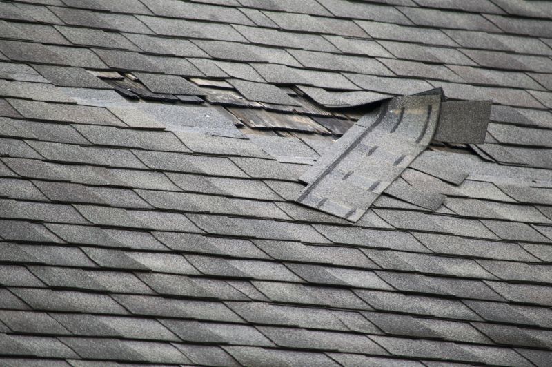 Fiberglass Shingles Repair in Schuylkill County, PA