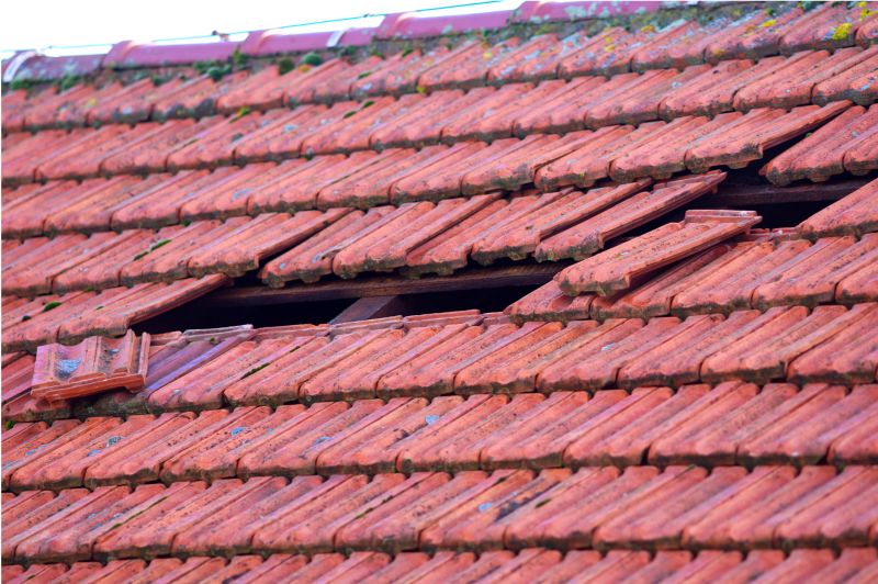 Roof Damage Inspection in Catawissa, PA