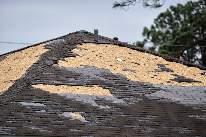 Roof Damage Restoration in Minersville, PA