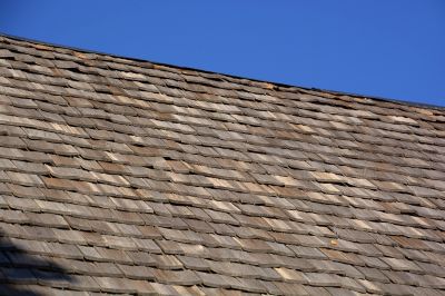 Shake Shingle Repair in Mount Carmel, PA