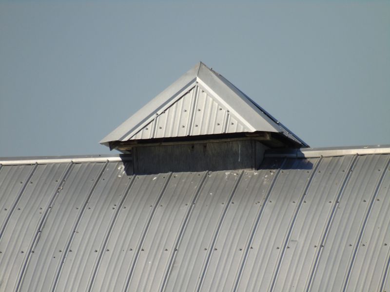 Tin Roof Installation in Pine Grove, PA